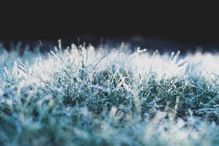 W tym okresie prognozuje się spadek temperatury do -1°C, a...