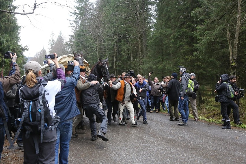 Przepychanki obrońców koni na drodze do Morskiego Oka z...