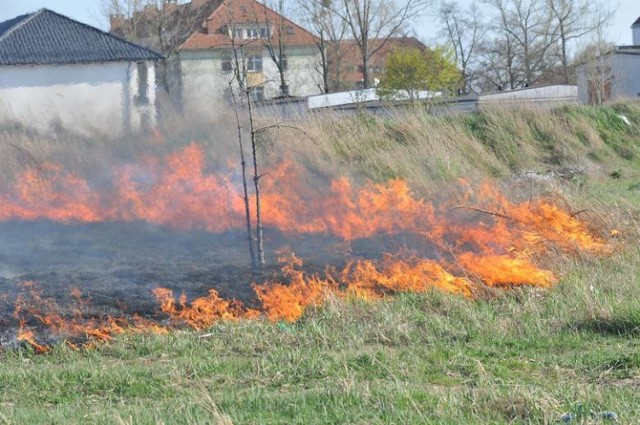 86-latek spłonął podczas wypalania traw