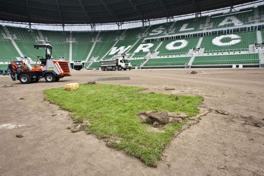 Wrocław: 100 tysięcy euro na nową murawę stadionu na Pilczycach (ZDJĘCIA)