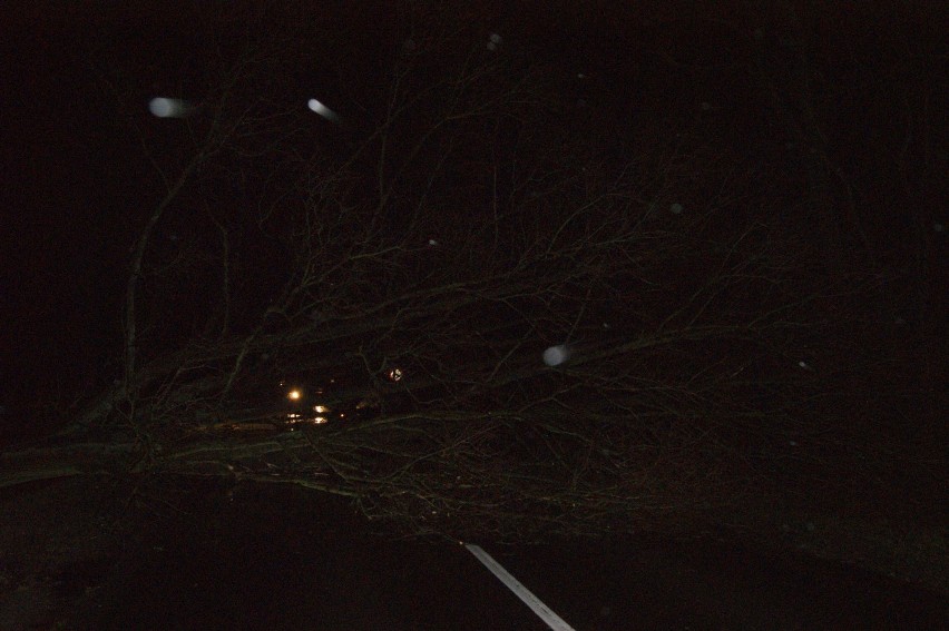 Powiat NT: Drzewa spadły na auto