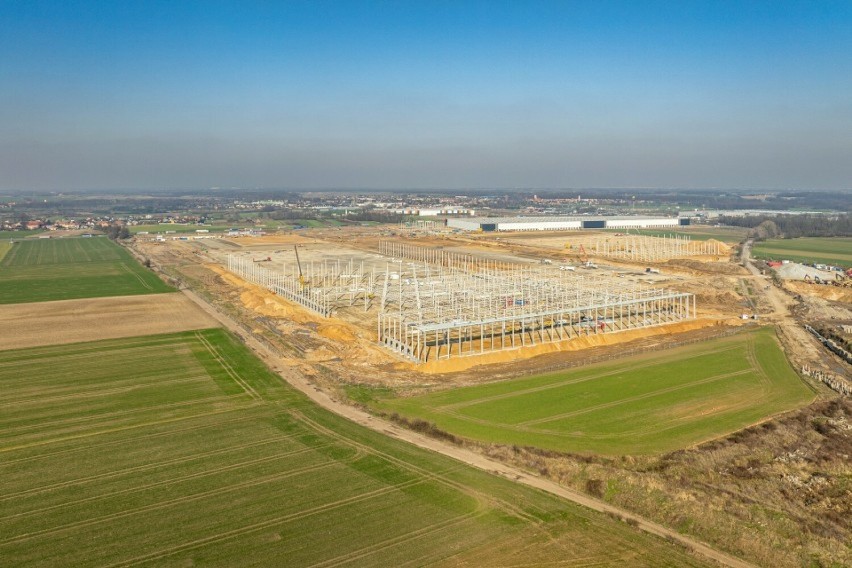 Budowa kompleksu trzech hal logistycznych pod Wrocławiem