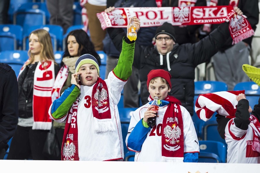 Kibice na meczu Polska - Serbia. Tak dopingowaliście...