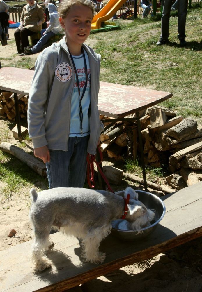 Festyn edukacyjny &quot;Pies w wielkim mieście&quot; w Gdyni. Zabawa na dwie nogi i cztery łapy