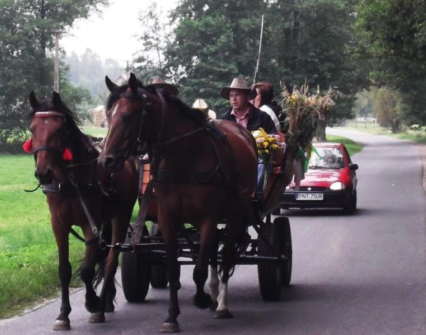 Dożynki w Stefanowicach. "Historia i nowoczesność 2014. To święto plonów całej gminy Zbąszyń [ZDJĘCIA]