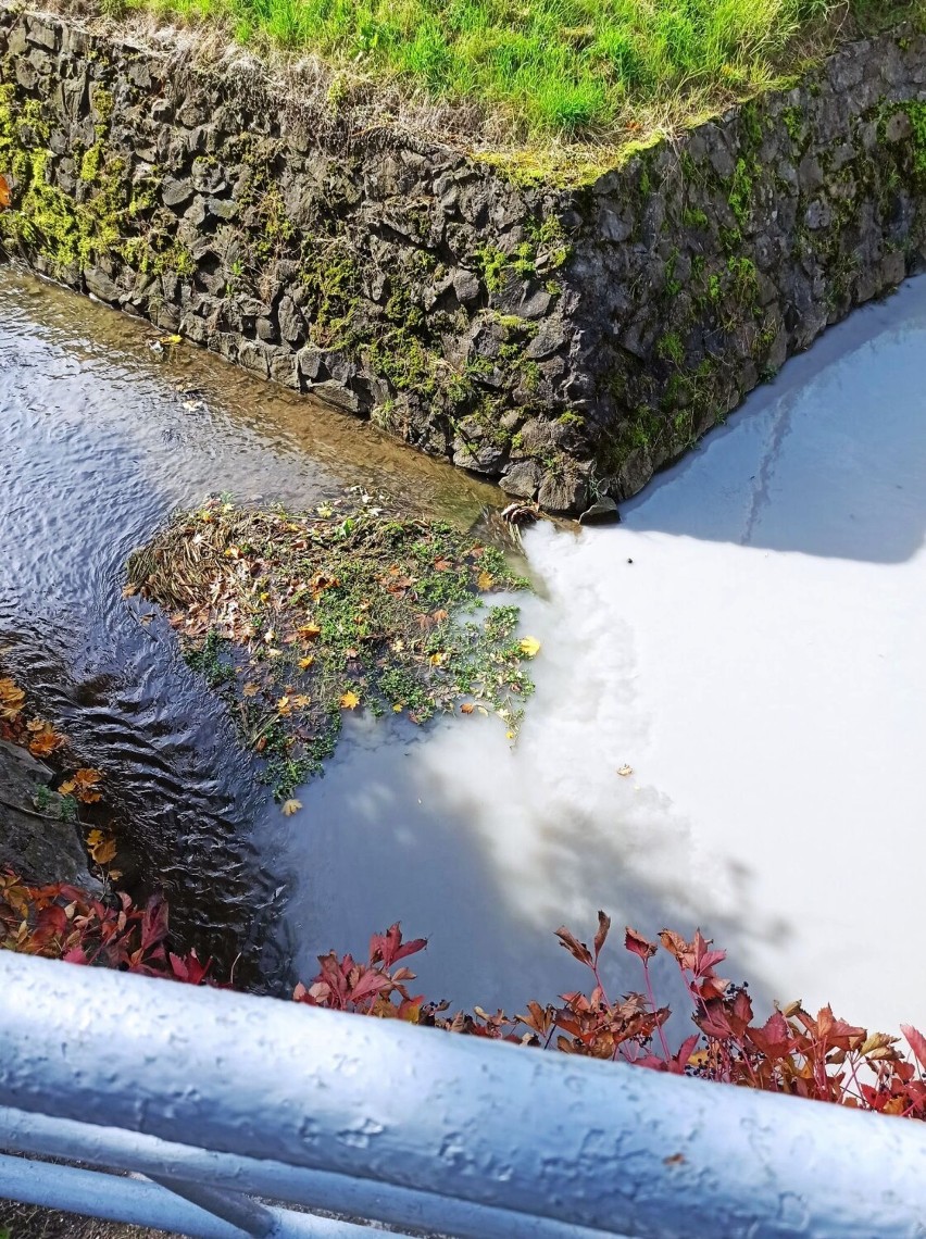 Społeczna Straż Rybacka w Sanoku alarmuje: Zanieczyszczenia trafiają do Potoku Płowieckiego i do Sanu, gdzie jest ujęcie wody (ZDJĘCIA)