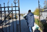 Wyszukiwarka grobów na cmentarzu parafialnym w Kraśniku. Sprawdź, jak znaleźć miejsce pochówku bliskich
