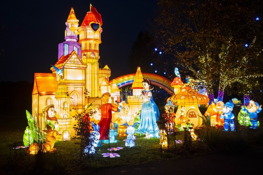 W piątek, 28 października, PAN Ogród Botaniczny rozbłyśnie...