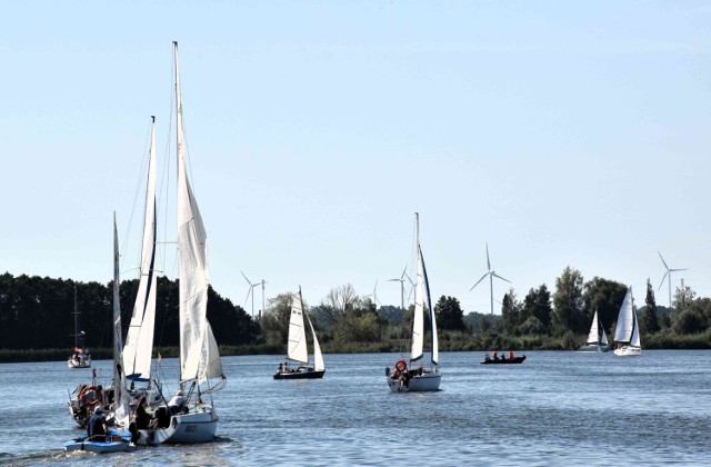 Podczas regat żeglarskich na jeziorze Mielno w Łącku rywalizują załogi jachtów kabinowych i klasy Omega
