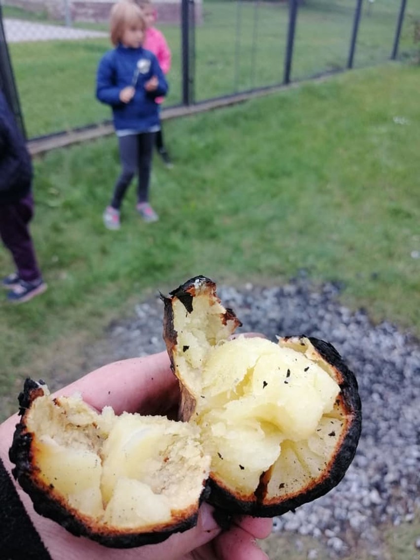 Tradycyjne Święto Pieczonego Ziemniaka w Szkole Podstawowej w Słosinku. Nie mogło się obyć bez ogniska| ZDJĘCIA