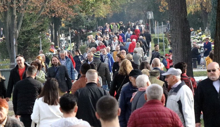 Te nazwiska noszą tylko legniczanie. Sprawdź, może Twoje...