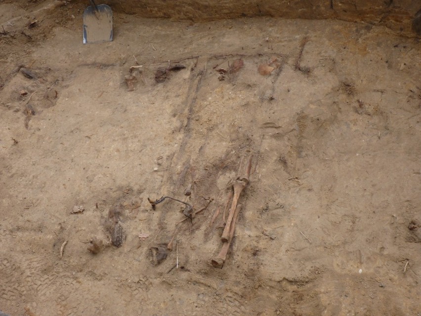 Szczątki żołnierzy odnalezione na Nowym Cmentarzu? Trwa ekshumacja [ZDJĘCIA]