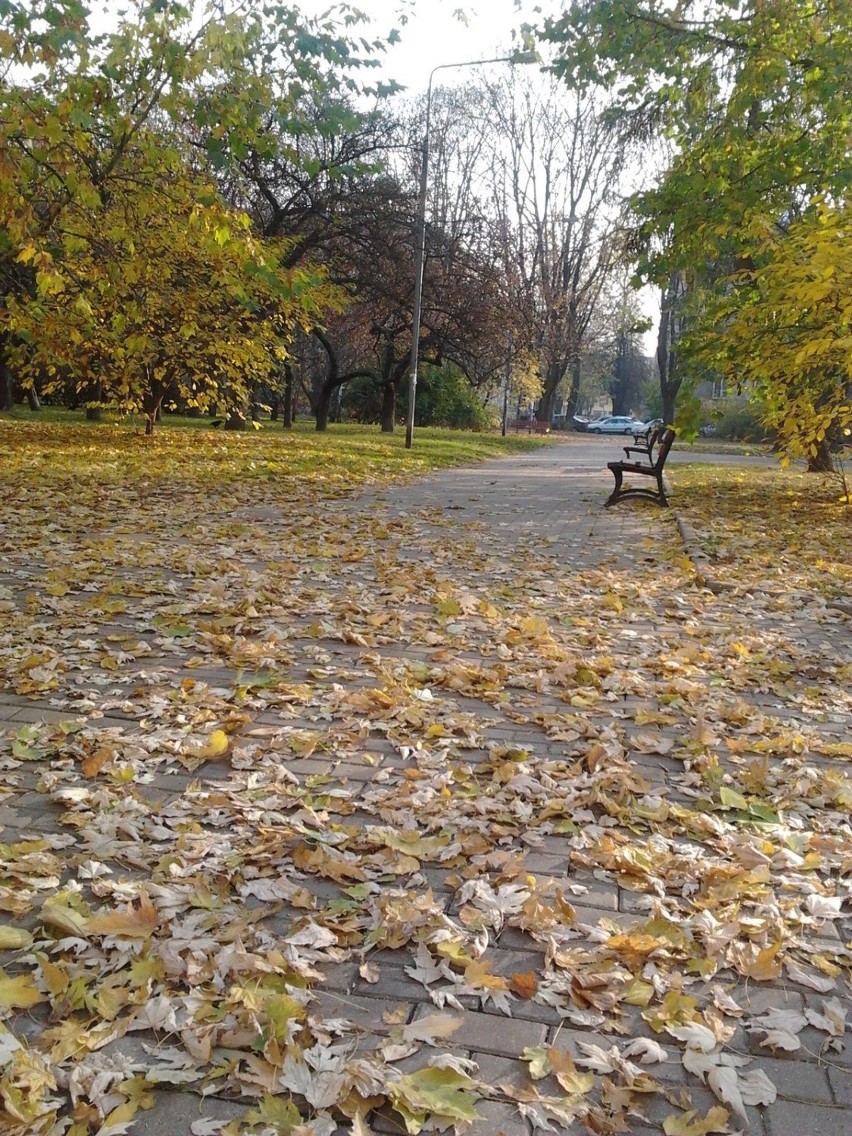 Tuż przy kinie jest park-skwer im. A.Słonimskiego, dzisiaj...