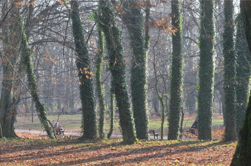 Środa

W środę średnia temperatura wyniesie ok. 10 stopni...