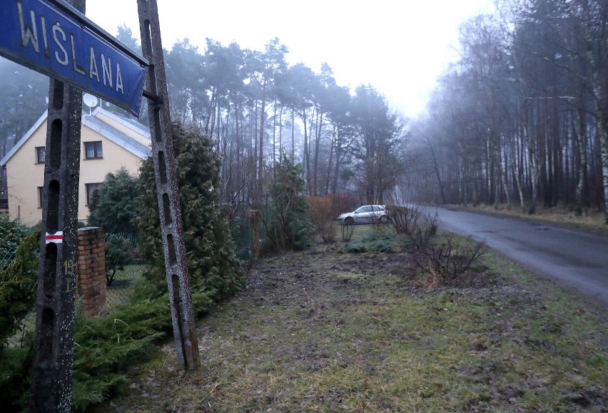 Mieszkańcy Wielgowa boją się wyjść z domu, bo za drzwiami mogą spotkać dziki 