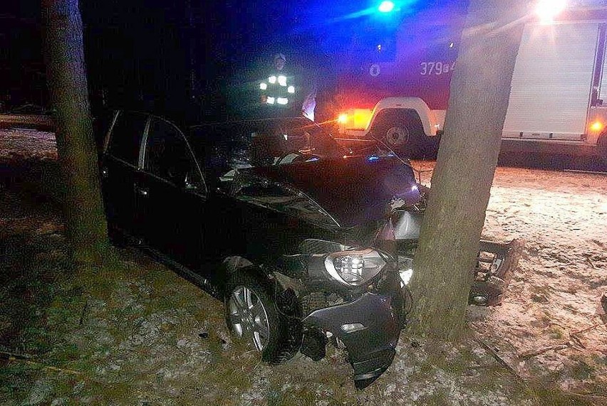 Porsche uderzyło w drzewo.