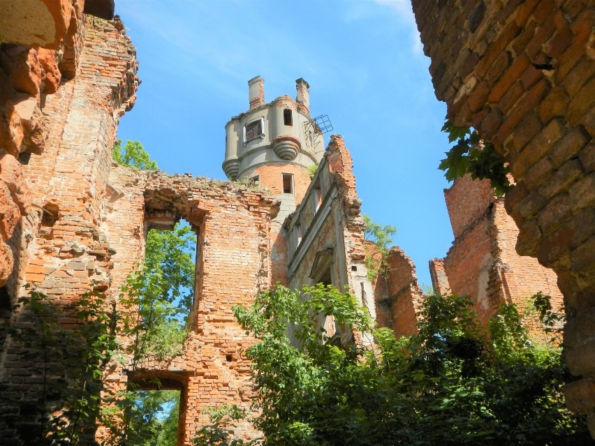 Malownicze ruiny pałacu Orzelskich z końca XVI wieku w...