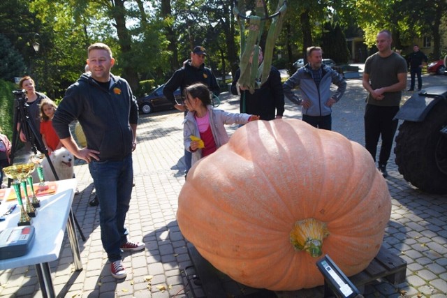 Dzień Korbola w Grzbynie już niedługo. Ile będzie ważyć największa dynia gigantka w tym roku? Ubiegłoroczna ważyła ponad 600 kilogramów!