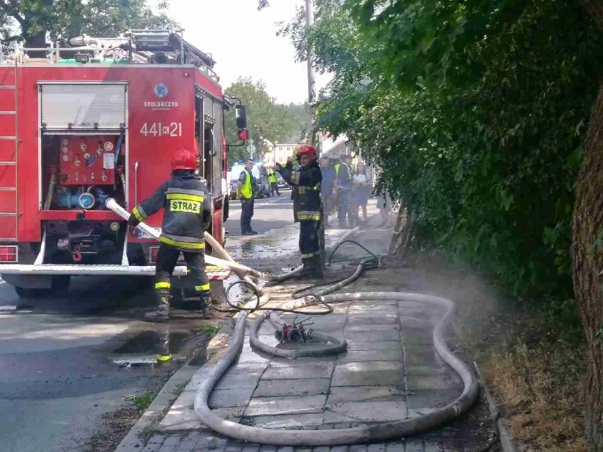 Strażacy gasili płonące drzewo przy ulicy Sienkiewicza