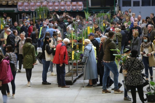Festiwal Roślin w najbliższy weekend, 21-22 października, wróci do Katowic. W hali Międzynarodowego Centrum Kongresowego nie zabraknie wielu różnych atrakcji dla miłośników roślin