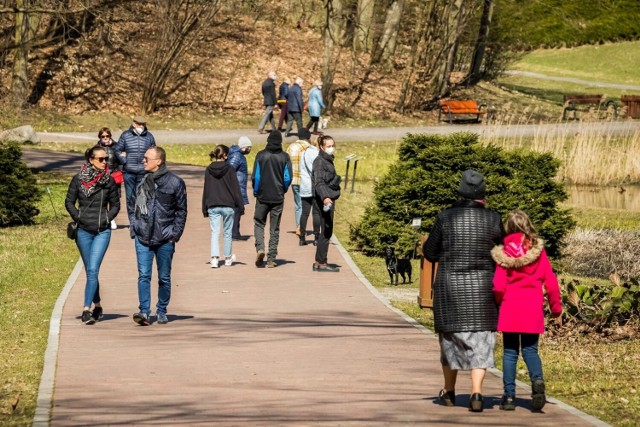 W Ogrodzie Botanicznym "Myślęcinek" pojawiły się nowe klony azjatyckie. Drzewka już posadzono i można oglądać podczas spacerów. Zdjęcia roślin prezentujemy na kolejnych slajdach galerii.