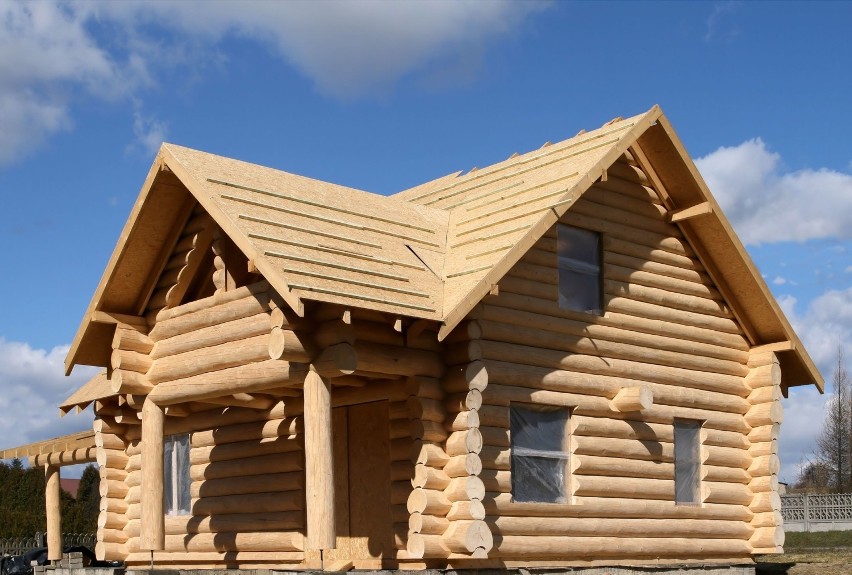 Domy z drewna są niezwykle popularne m.in. w Niemczech i...