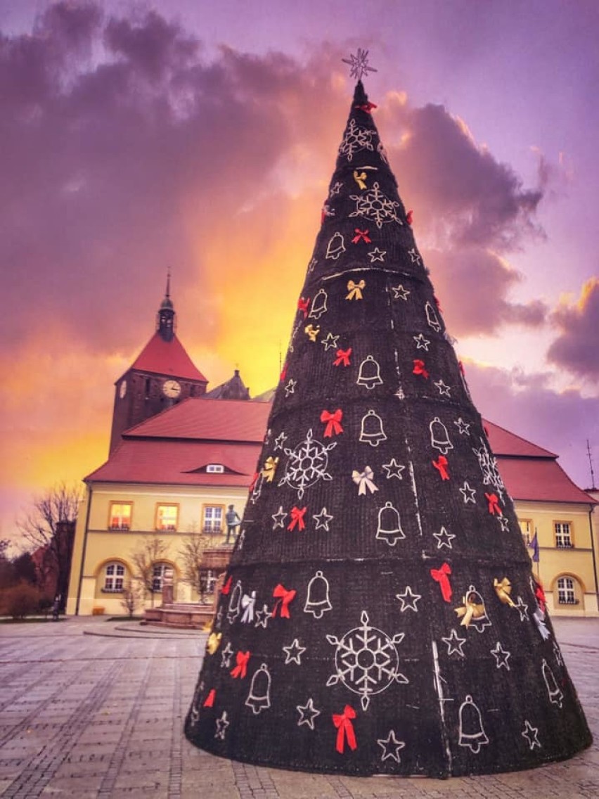 Na rynku w Darłowie czuć już święta. Jest już choinka [ZDJĘCIA]