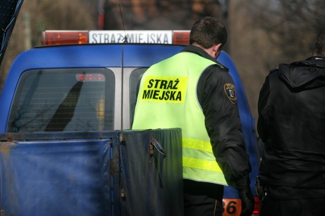Nabór w straży miejskiej w Porębie: Do kiedy rekrutacja?