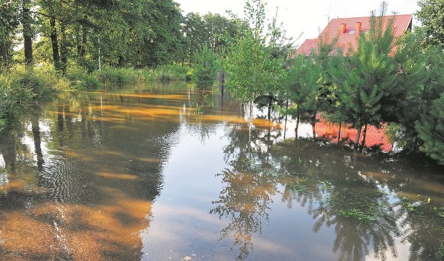 Tego lata mieszkańcy m.in. ulicy Modrzewskiego przeżyli prawdziwy potop