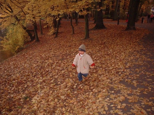 Sołacz jesienną porą. Dlaczego jest romantyczny? W parku pierwsze kroki postawił Łukasz, syn Justyny i Marcina. Teraz razem chodzą tam na spacery.