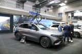 Poznań Motor Show 2024: Targi, które zawsze przyciągają ogromne tłumy na MTP! Organizatorzy wydarzenia zapowiadają wiele nowości