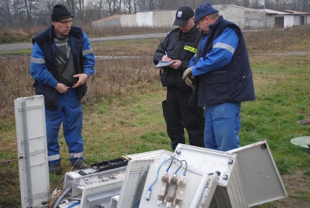 Pracownicy energetyki podczas naprawiania szkody