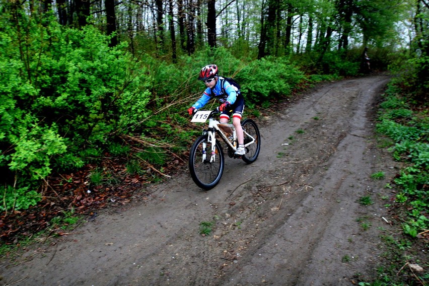 Będzin: Mistrzostwa Cross Country na górze św. Doroty