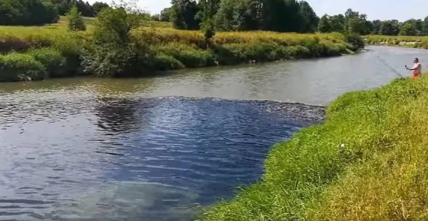 Czarny szlam szerokim strumieniem wlewał się do Wisły