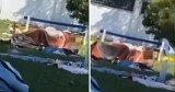Para kochała się na otwartym basenie w Krotoszynie? Policja nie otrzymała zgłoszenia