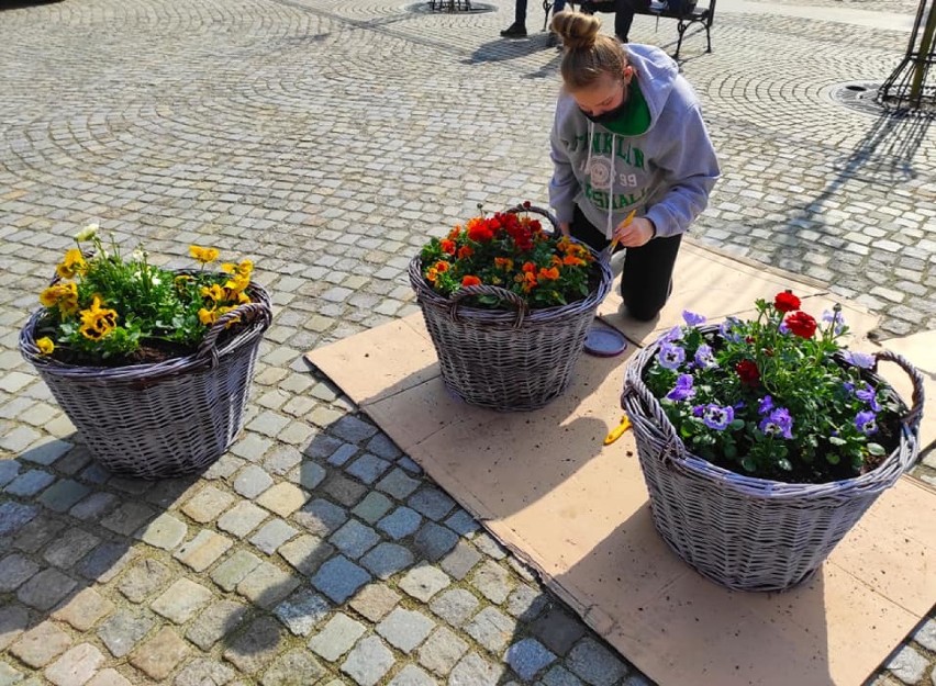 Wielkanoc już tuż- tuż. Zobacz jak pięknie wygląda rynek w Bolesławcu i Lwówku Śląskim