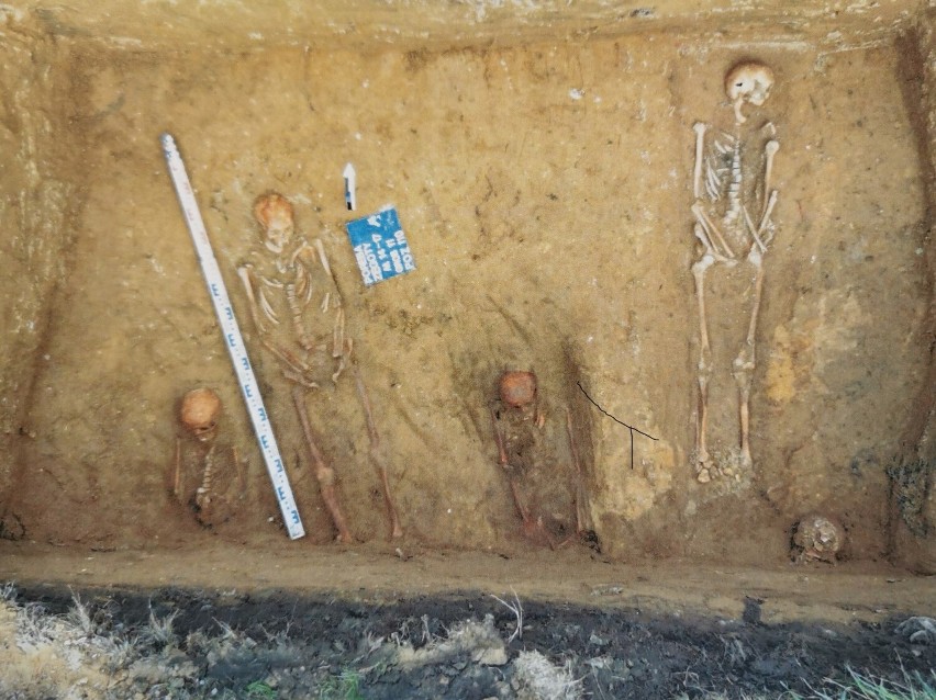 26 grobów ze szczątkami odkryto podczas remontu DW 780 w...