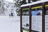 Tatry. Ludzie nadal wchodzą w góry. Na szlakach są kontrole wędrujących