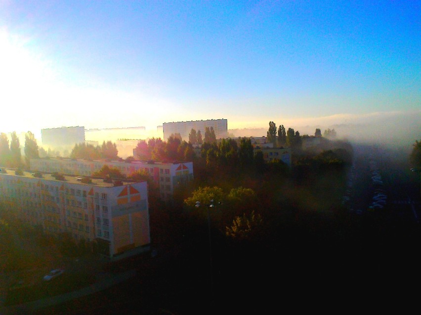 Poranna mgła nad  Rubinkowem  w Toruniu