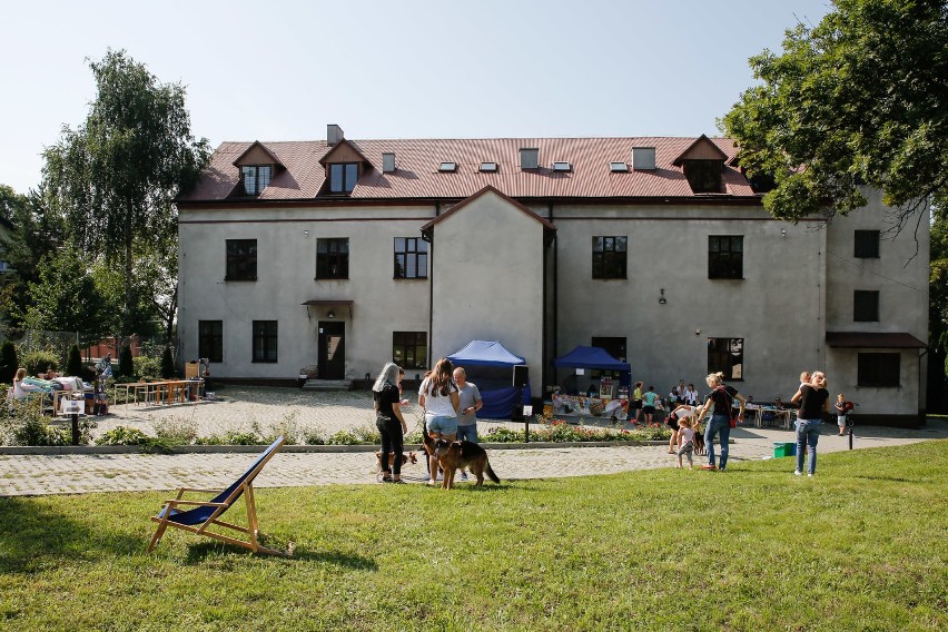 Kraków. W ogrodach liceum zagościły psy rasowe i nierasowe