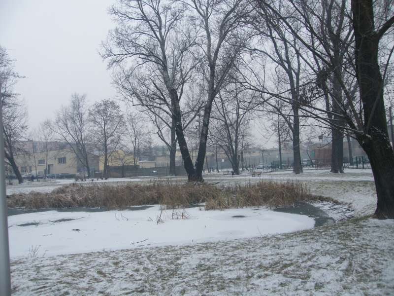 Pierwszy śnieg w pierwszy dzień zimy