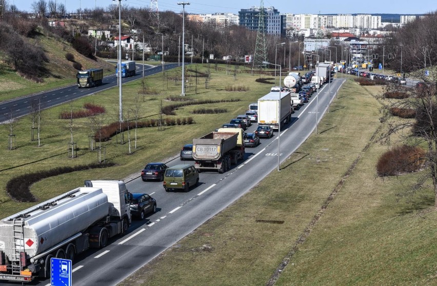 Badanie dotyczące popularności w internecie zostało...