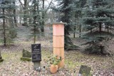 Cmentarz ewangelicki w Stefanowie - 16.03.2023 [Zdjęcia]