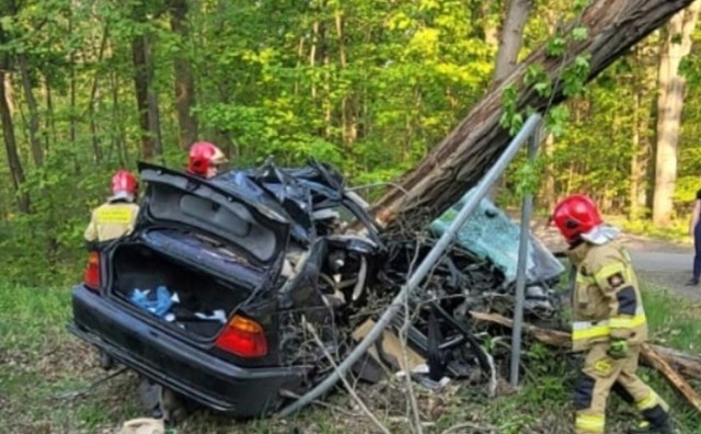 Auto z dużą siłą uderzyło w drzewo