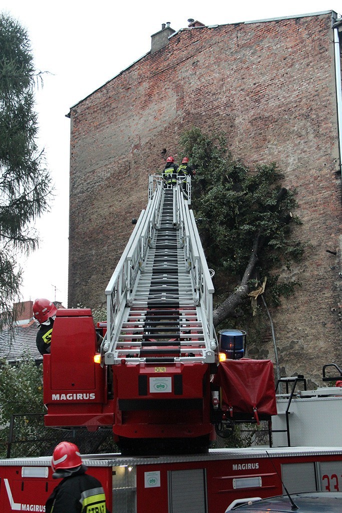 Powiat bielski: 44 interwencje strażaków