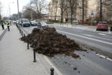 Rozsypano obornik przed Urzędem Wojewódzkim w Poznaniu. "Policja chce wlepić mandat, ale nie wie komu". Zobacz zdjęcia