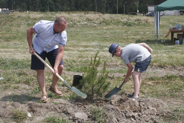 Powszechne sadzenie drzew w Złotowie