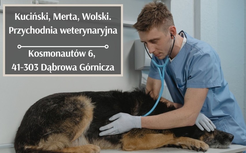 Sprawdź, którego z lokalnych weterynarzy, polecają...