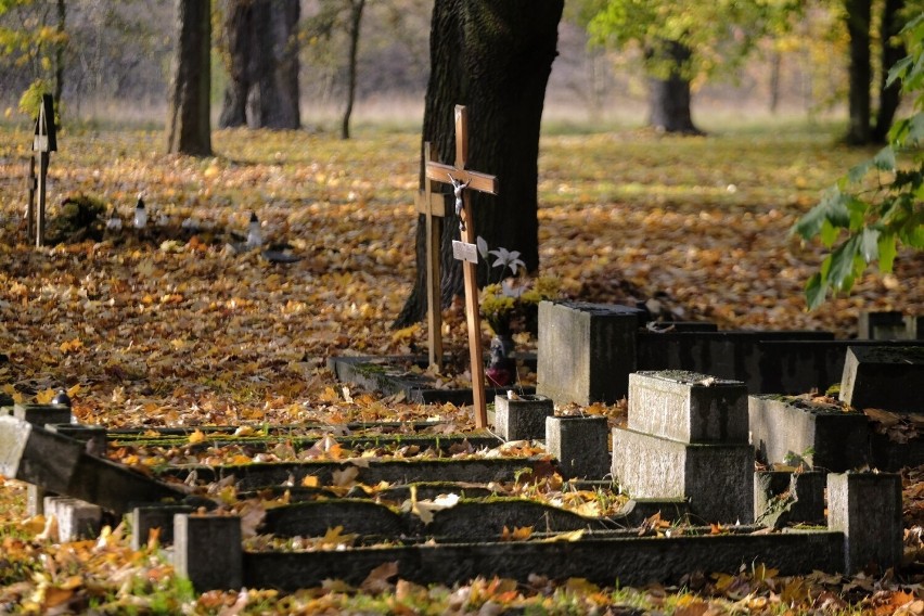 Nieczynny już cmentarz rzymskokatolicki przy ulicy Samotnej...