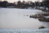 Zimowy spacer w Parku Rodzinnym nad Jeziorem Kaplicznym w Kościerzynie. Jest pięknie! ZDJĘCIA